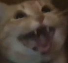 Happy