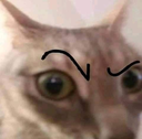 p_zeroosus