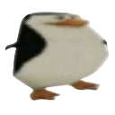 Skipper