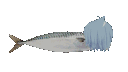 fish_rusk3