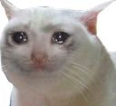 :sadcat: