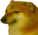 :Cheems: